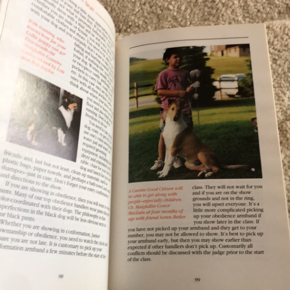A New Owners Guide to Collies-an everything you need Collie dog book - Picture 8 of 10